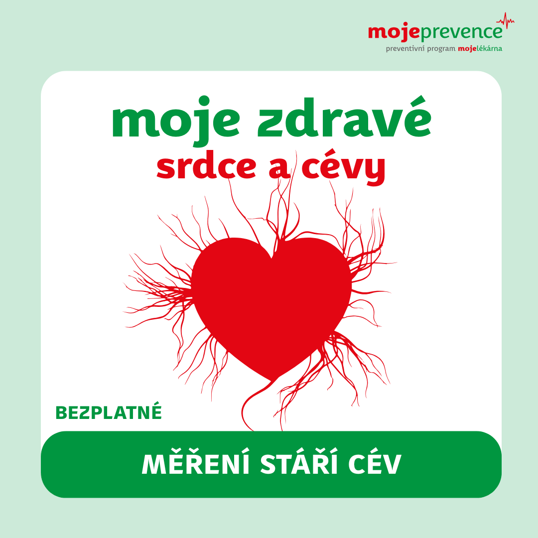 cevy.png